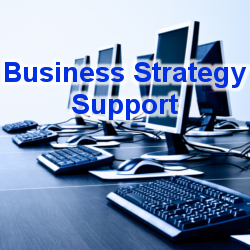 Business Strategy Support