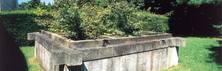 Fukui Castle Ruins