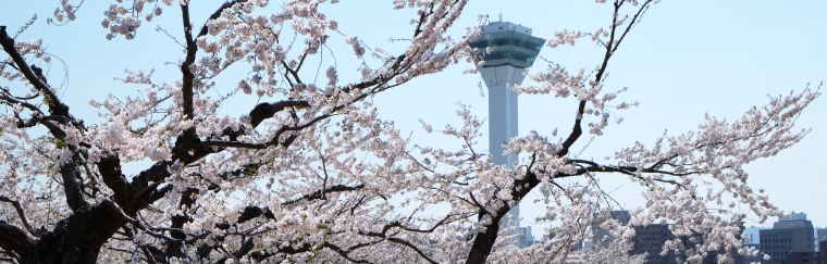 Goryokaku Tower