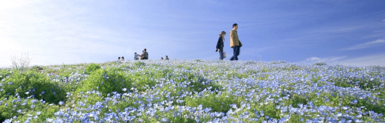 State-run Hitachi Kaihin Park