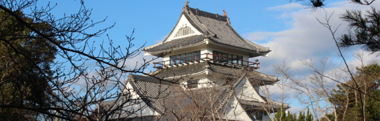 Hiwasa Castle