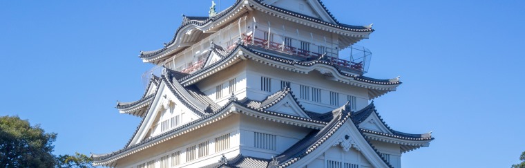 Inohana Castle