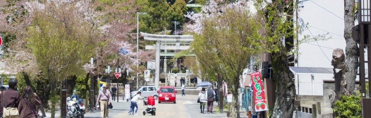 Inuyama City