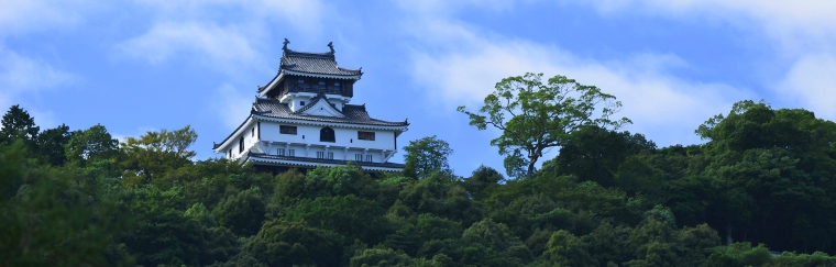 Iwakuni Castle