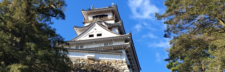 Kochi Castle