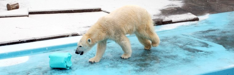 Kushiro City Zoo