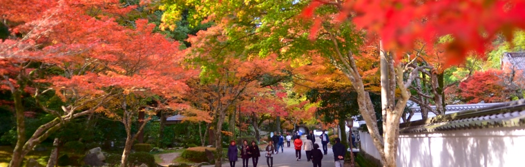 Momijidani Park