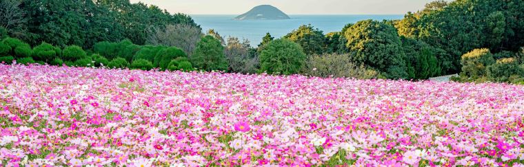 能古島