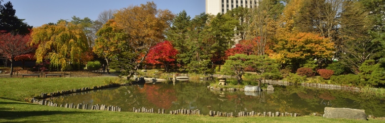 Nakajima Park