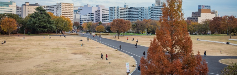 National Showa Memorial Park