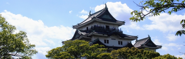 Wakayama Castle